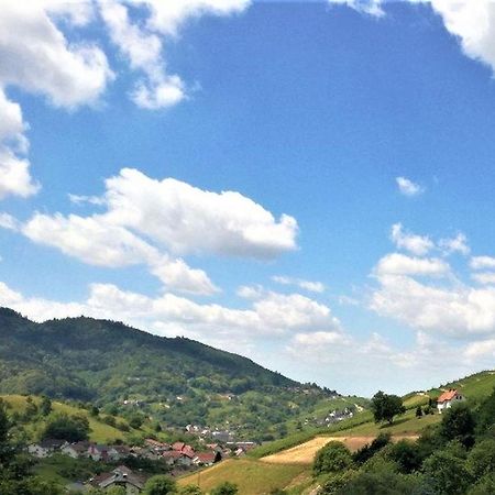 Ferienwohnung Wintereck Buhlertal Ngoại thất bức ảnh
