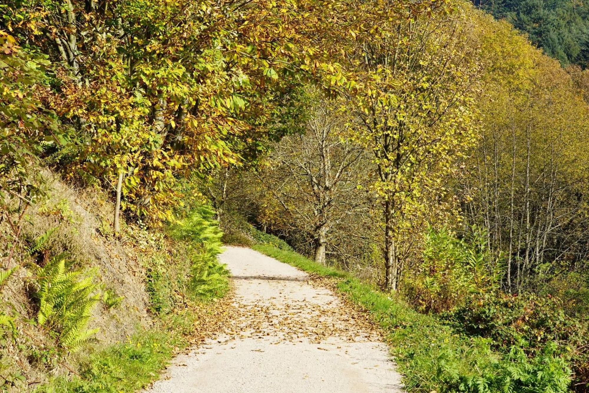 Ferienwohnung Wintereck Buhlertal Ngoại thất bức ảnh