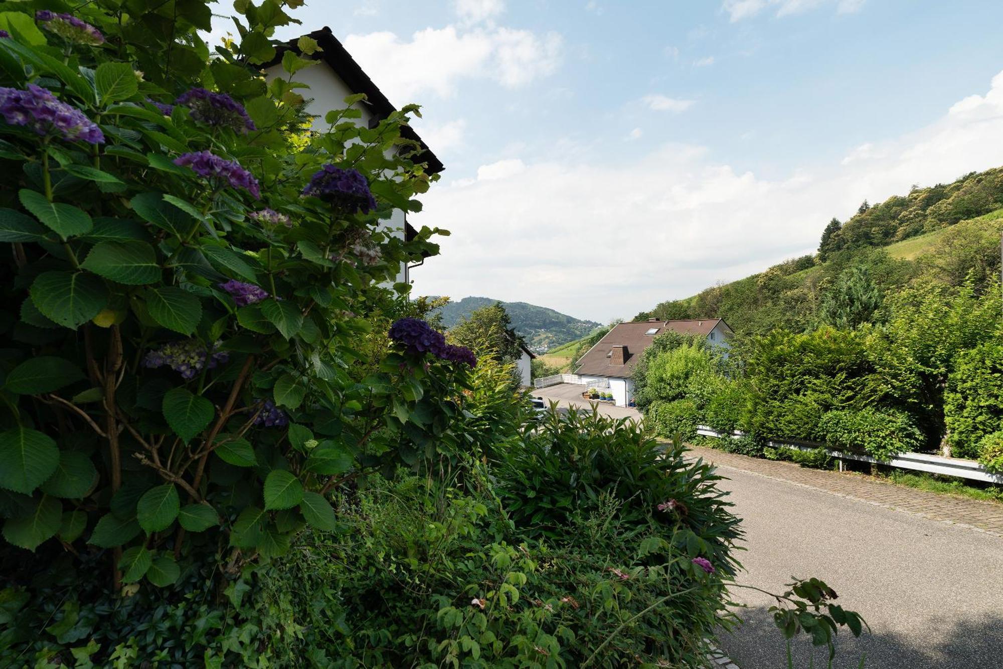 Ferienwohnung Wintereck Buhlertal Ngoại thất bức ảnh