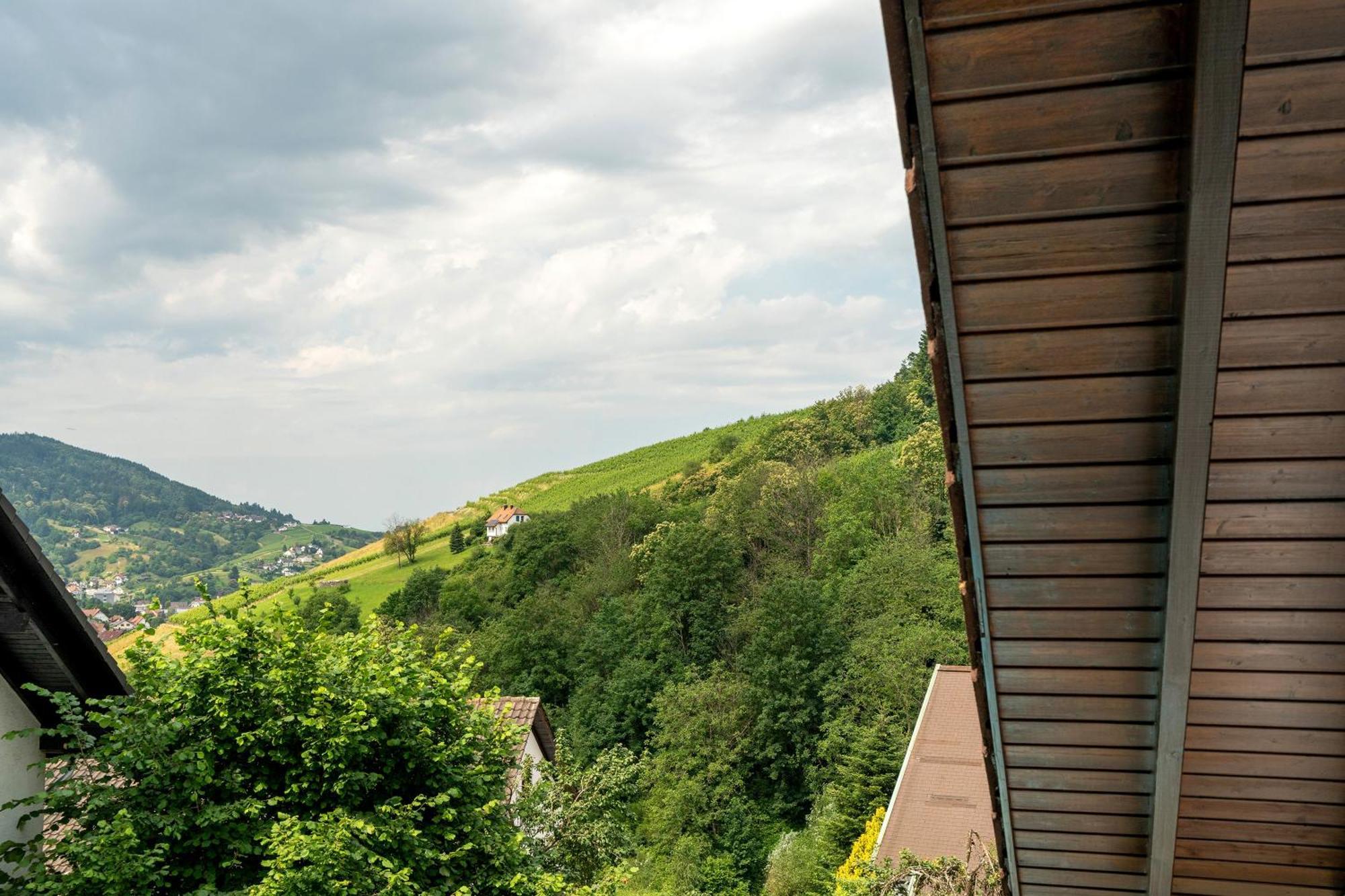 Ferienwohnung Wintereck Buhlertal Ngoại thất bức ảnh