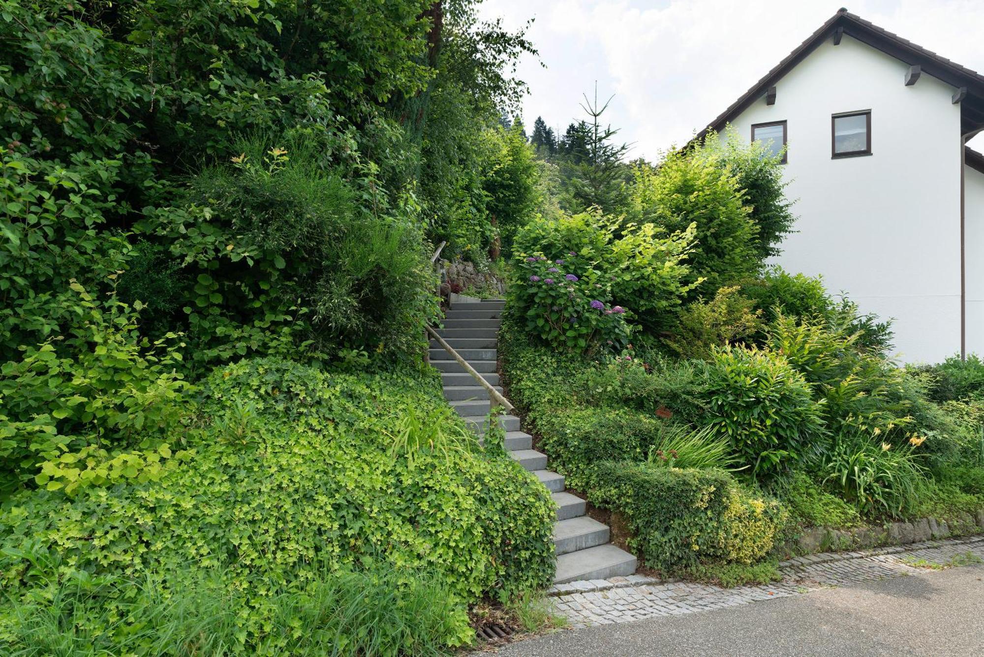 Ferienwohnung Wintereck Buhlertal Ngoại thất bức ảnh
