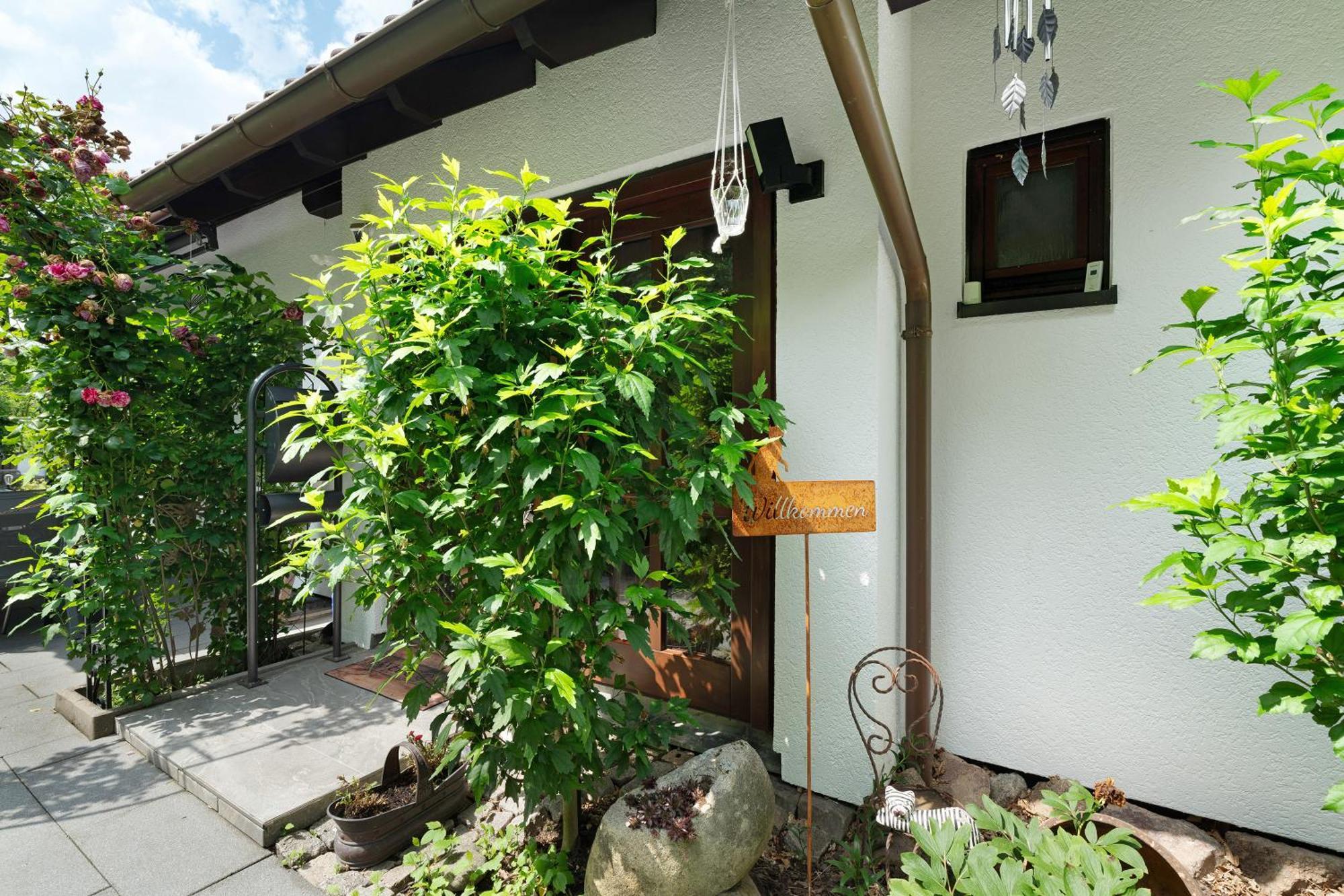 Ferienwohnung Wintereck Buhlertal Ngoại thất bức ảnh